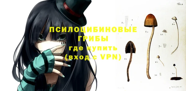 амф Балахна