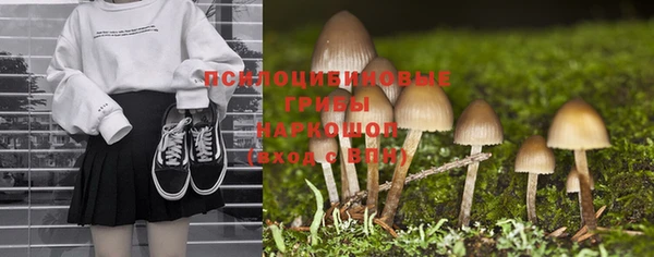 a pvp Белокуриха