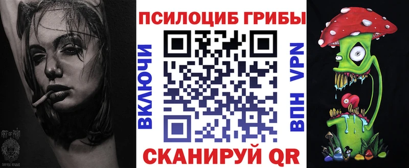 Псилоцибиновые грибы Psilocybe  Ершов 